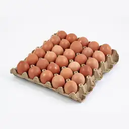 Mamá Gallina Huevos Rojos AA