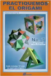 Libro Practiquemos el Origami #7 - Nessan