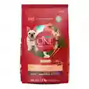 Comida para perro Purina One adultos minis y pequeños Pollo y Salmón X 3,5kg