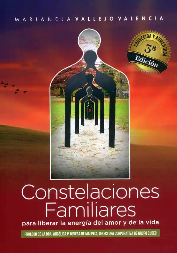 Constelaciones Familiares Para Liberar La Energía Del Amor y de La Vida