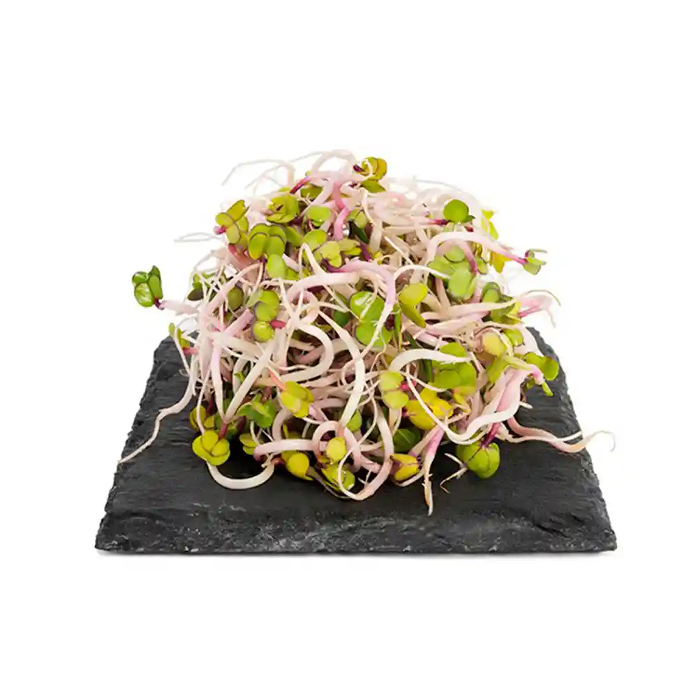 Hortifresco Brotes Rábano