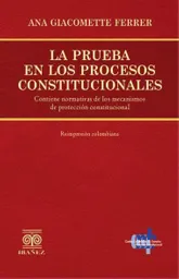 La Prueba en Los Procesos Constitucionales