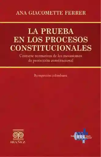La Prueba en Los Procesos Constitucionales
