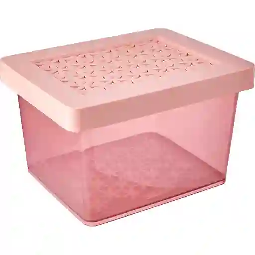 Ordene Caja Con T P 20 x 15.5 x 12 cm