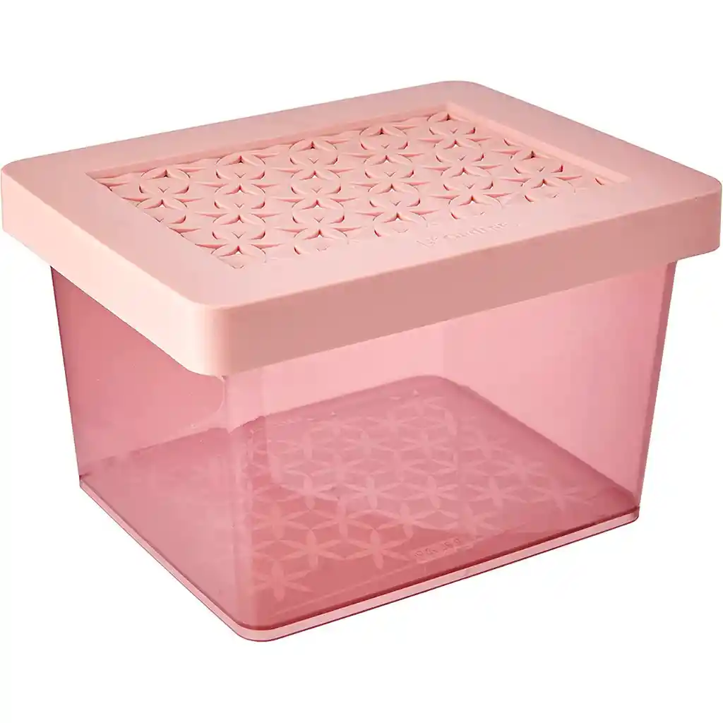 Ordene Caja Con T P 20 x 15.5 x 12 cm