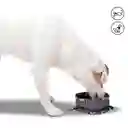 Bebedero Portátil Vito Mickey Mouse Para Mascota