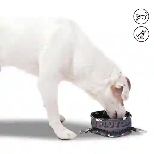 Bebedero Portátil Vito Mickey Mouse Para Mascota