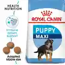 Royal Canin Alimento para Perro Maxi Puppy 
