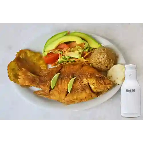 Combo Tilapia + Hatsu Blanco 400 ml