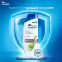 Shampoo Head Shoulders Dermo Sensitive Extractos de Sabila / Aloe Control Caspa Champu Head and Shoulders 375 ml