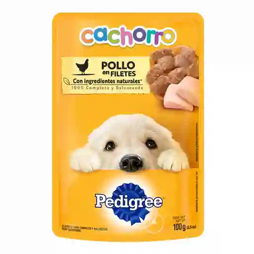 Pedigree Alimento Húmedo para Perro Cachorro Sabor a Pollo eb Filetes