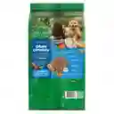 Alimento para perro Dog Chow Cachorros Gran Comienzo Medianos y Grandes x 2kg