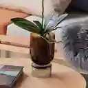 Hubsch Florero Stand Ambar Pequeño