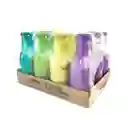 Hatsu Té Surtido x 12 Unidades