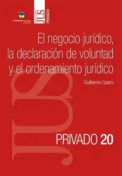 El Negocio Jurídico la Declaración de Voluntad