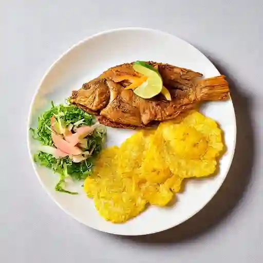 Tilapia Frita