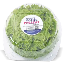 Verde Crespa Lechuga Variedad