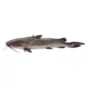 Pescado Merito a Granel