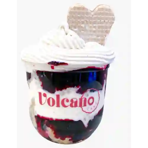 Suncake Selva Negra Grande 12 Onzas