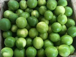 Limón Común