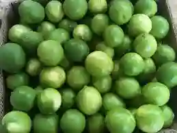 Limón Común