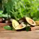 Selection Aguacate Hass Members