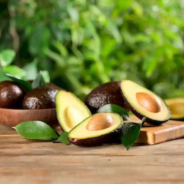 Selection Aguacate Hass Members