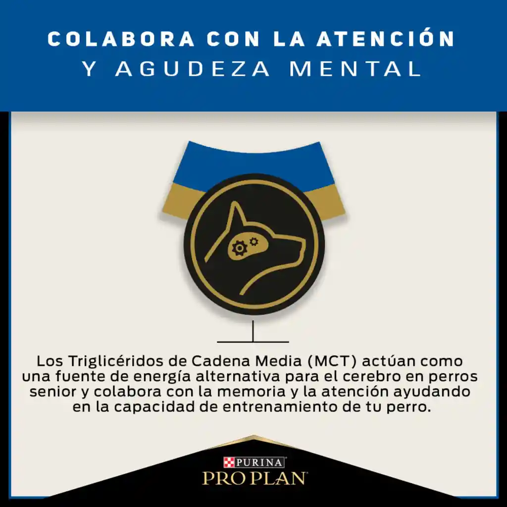 Comida para Perros adultos +7 años razas pequeñas Purina Pro Plan x 1 kg