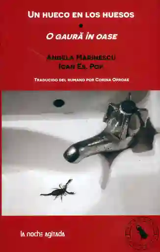 Un Hueco en Los Huesos