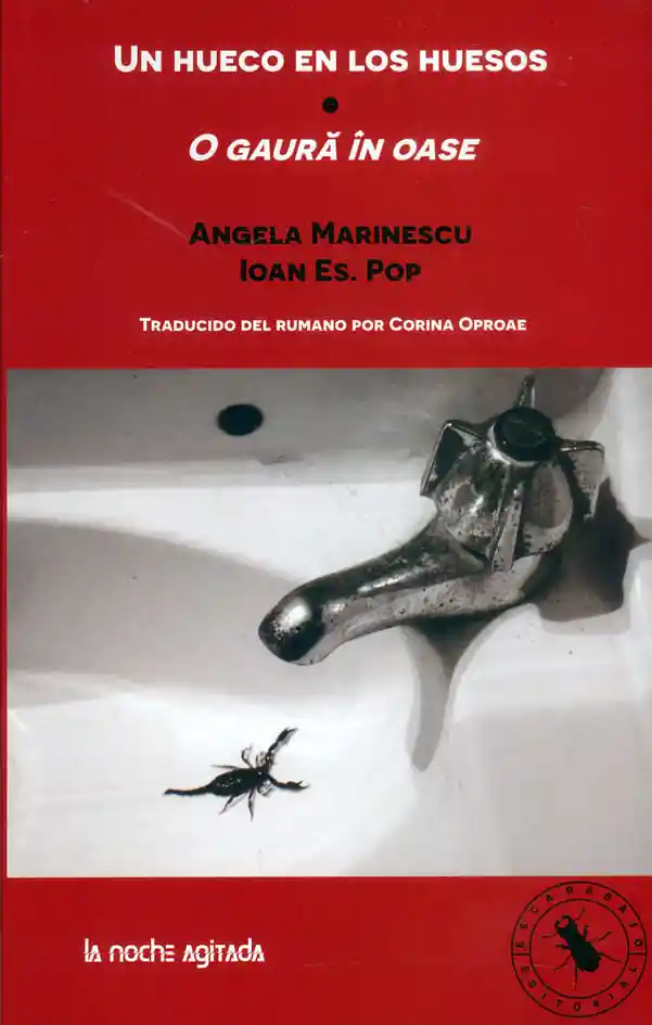 Un Hueco en Los Huesos
