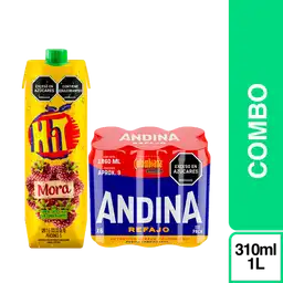 Combo Andina Refajo + Hit Jugo Mora 1000 mL