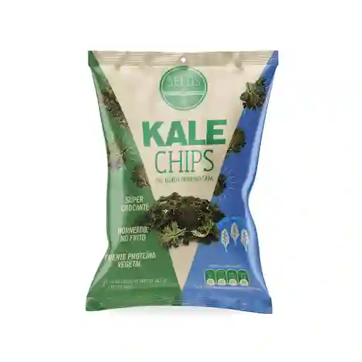 Kale Chips Col Rizada Deshidratada