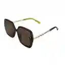 Gafas Para Mujer Color Havana X17014 Steve Madden