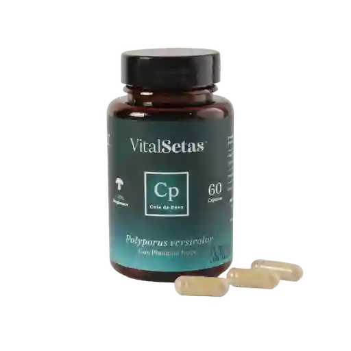 Capsulas Vitalsetas Cola de Pavo Pimienta Negra X 60