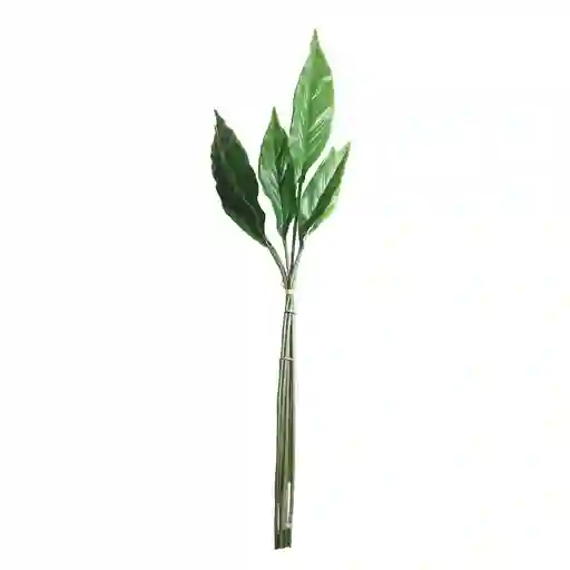 Set Hojas Gio Home Pajaro 6 Und
