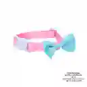 Collar Ajustable Para Gato Michi Rosado