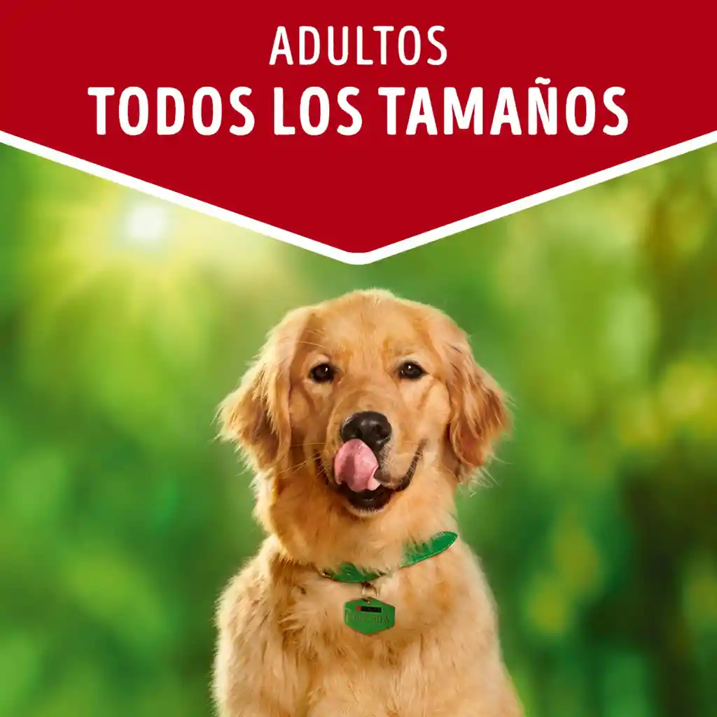 Comida húmeda para perro Dog Chow todos los tamaños con carne x 100 gr