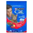 Cat Chow Alimento para Gato Adultos Sabor a Carne Fortidefense 