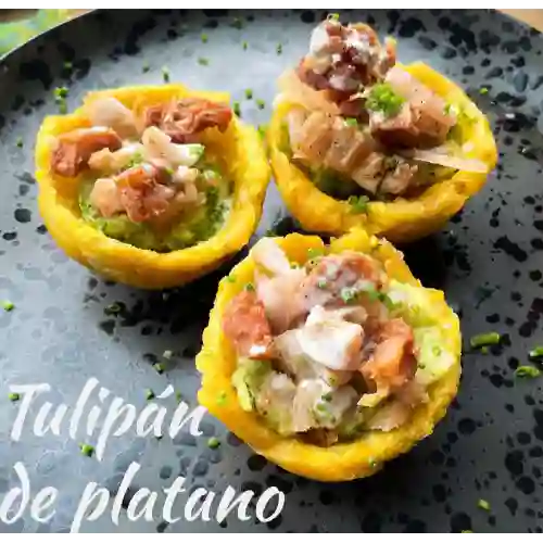 Tulipán de Plátano