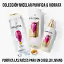 Pantene Shampoo y Acondicionador Pro-V Micelar