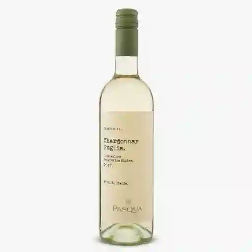 Pasqua Vino Blanco Italian Chardonn Di Puglia Blanc Botella