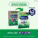 Alimento Lácteo Enfagrow Premium Promental Preescolar 2 Kg