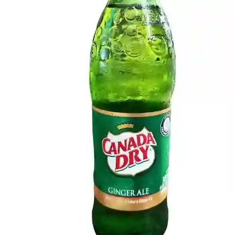 Canada Dry Ginger Ale 350 ml