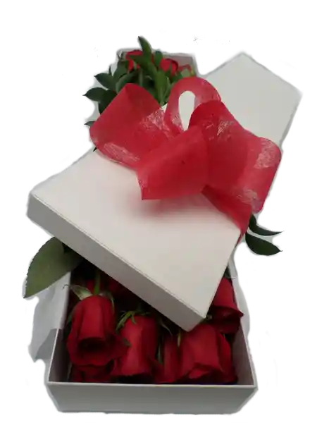 Caja 24 Rosas Rojas Flores Frescas y Chocolates