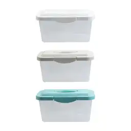 Caja Organiza Transp Tapa Color 3c