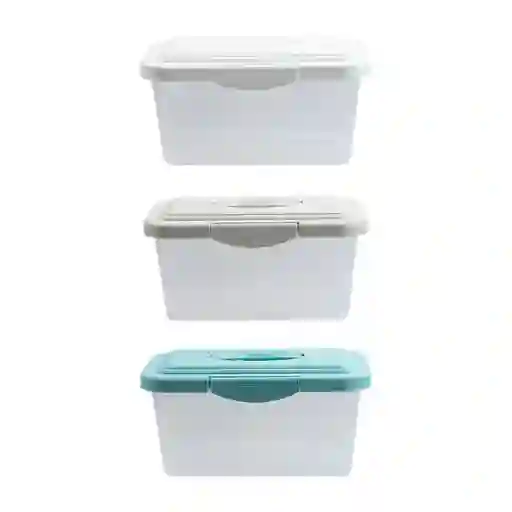 Caja Organiza Transp Tapa Color 3c