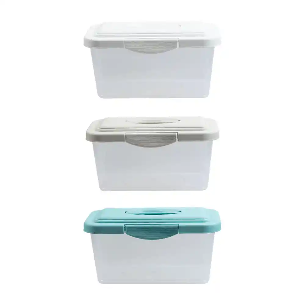 Caja Organiza Transp Tapa Color 3c