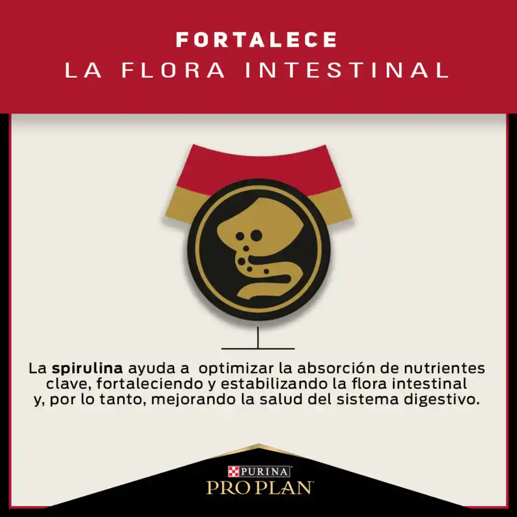 Comida para Perros adultos razas pequeñas Purina Pro Plan x 1 kg