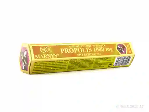 Marnys Propóleo Echinacea (1000 mg)