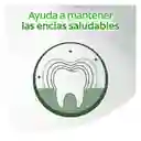Seda Dental Colgate Total Encerado Flúor y Menta 25 m